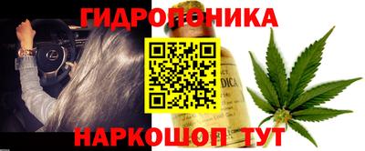 крисы Лесосибирск