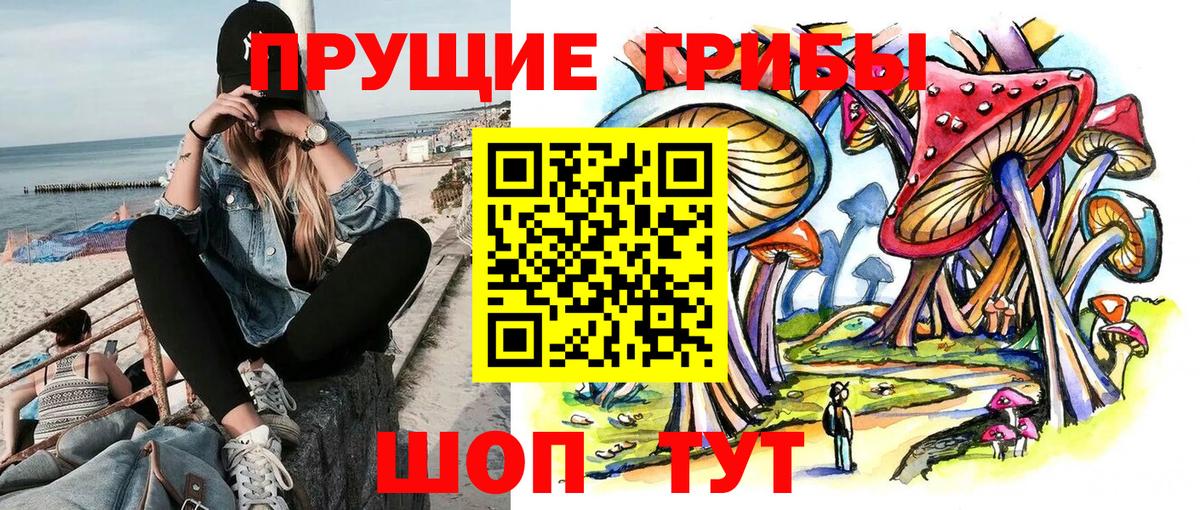 Псилоцибиновые грибы прущие грибы  Вход с VPN  Дивногорск 